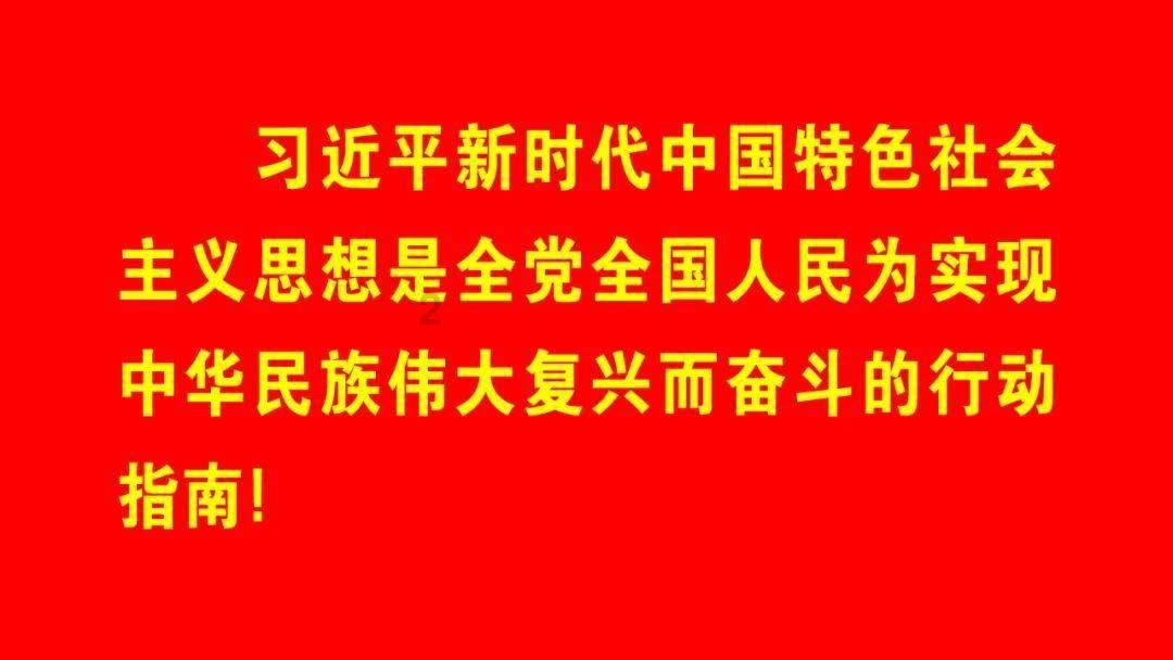 探索大白菜的做法大全,发现红迪网上的精彩世界!